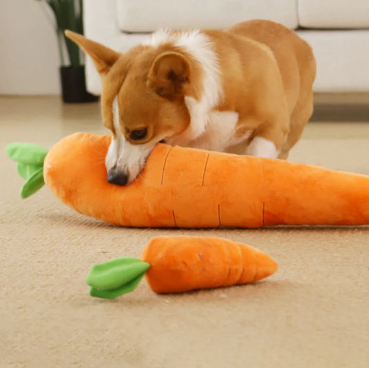 dog with interactive toy