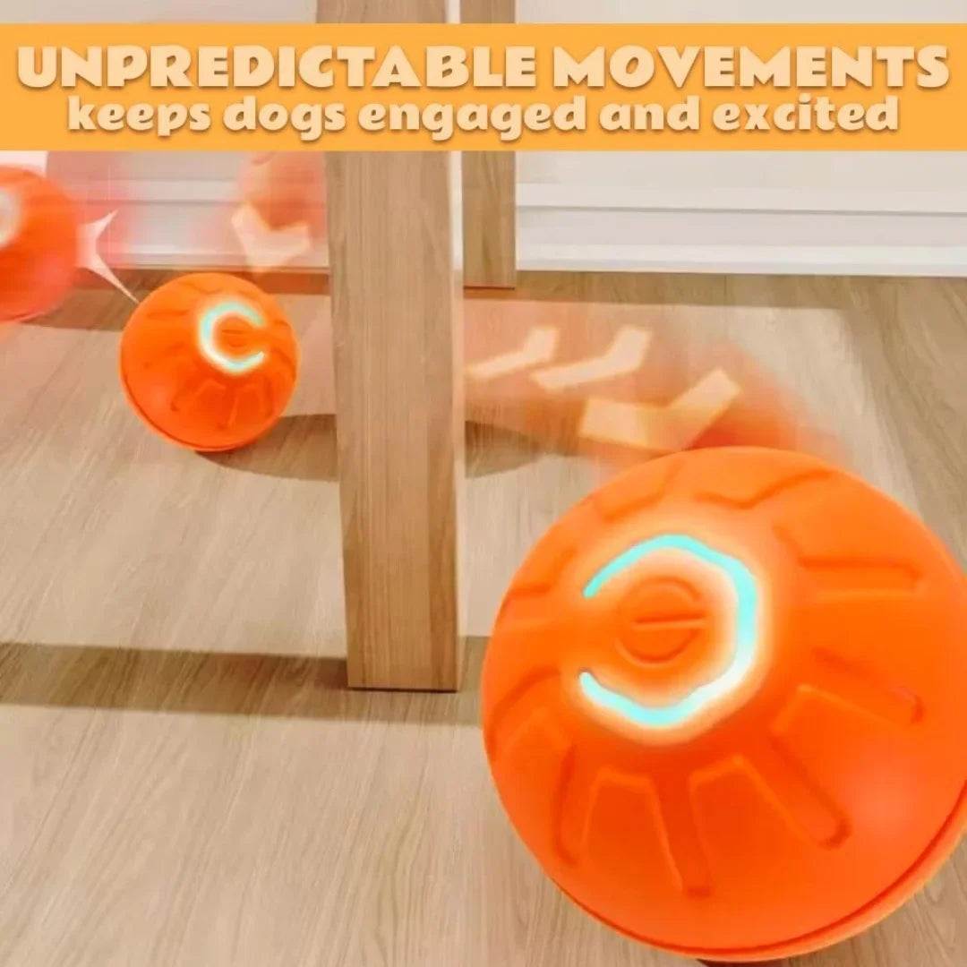 Pet Bouncing Ball