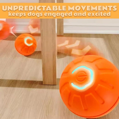 Pet Bouncing Ball