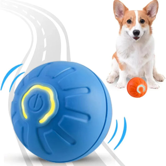 Pet Bouncing Ball