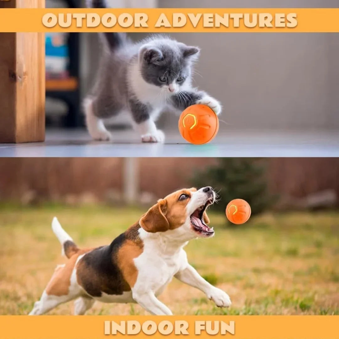 Pet Bouncing Ball