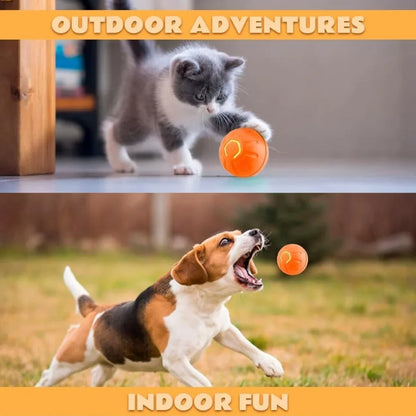 Pet Bouncing Ball