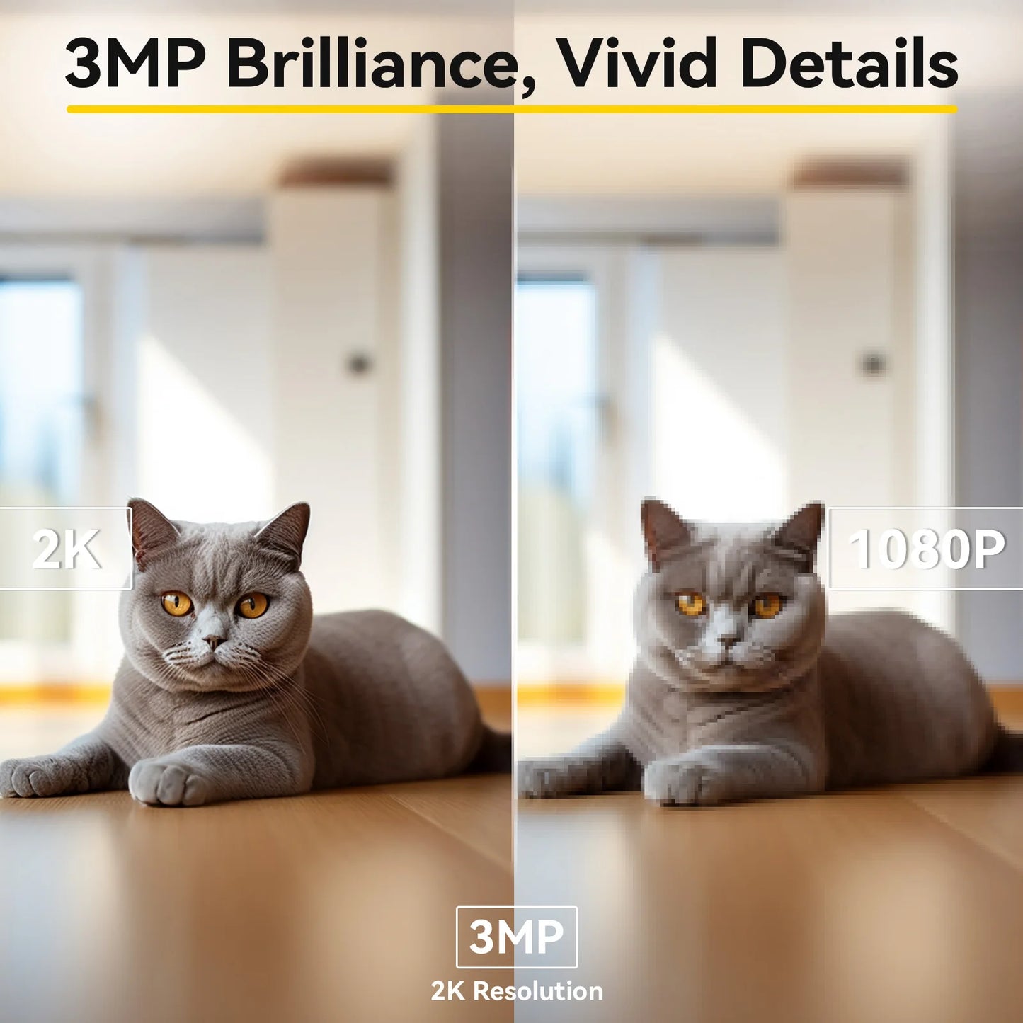 Indoor Pet Camera with Audio & Night Vision