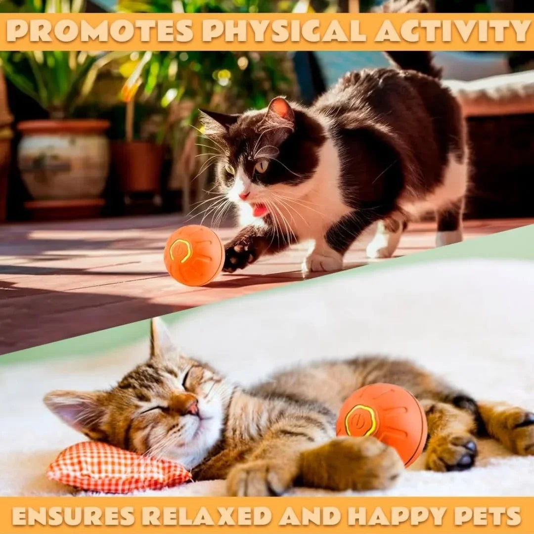 Pet Bouncing Ball