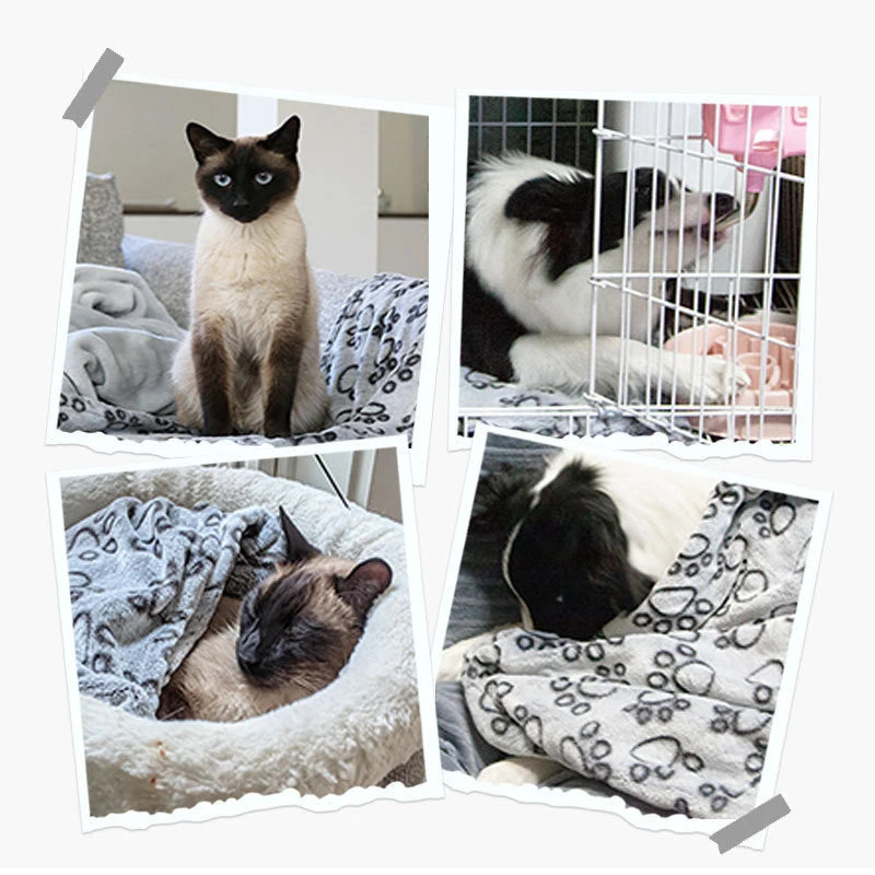 Soft Fluffy Pet Blanket