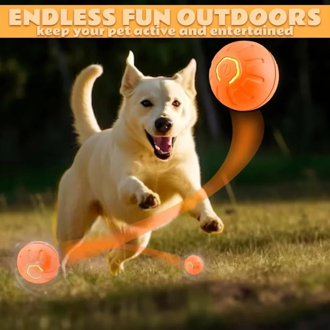 Pet Bouncing Ball