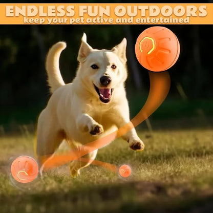 Pet Bouncing Ball