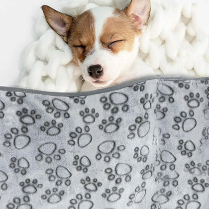 Soft Fluffy Pet Blanket
